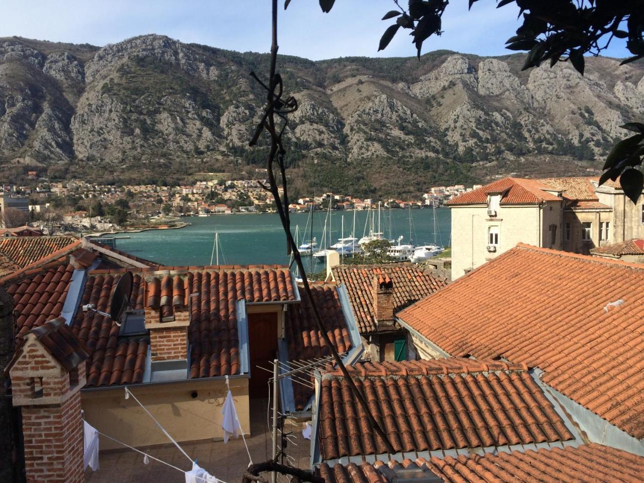 Chic & Stylish With Seaview-Terrace - Kotor Indah Apartman Kültér fotó